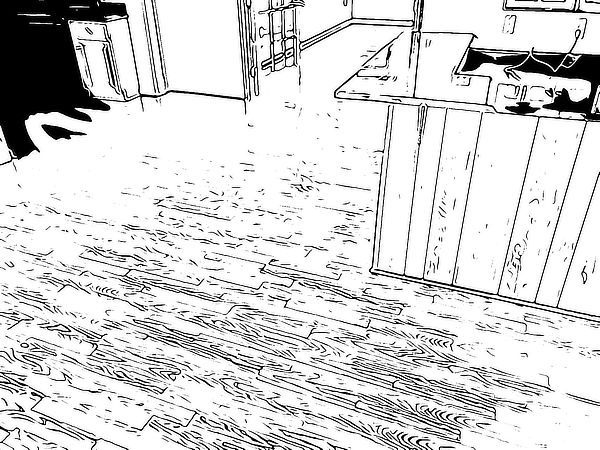 Inked print, hardwood floor cleaning by Sanitize 4 Serenity 