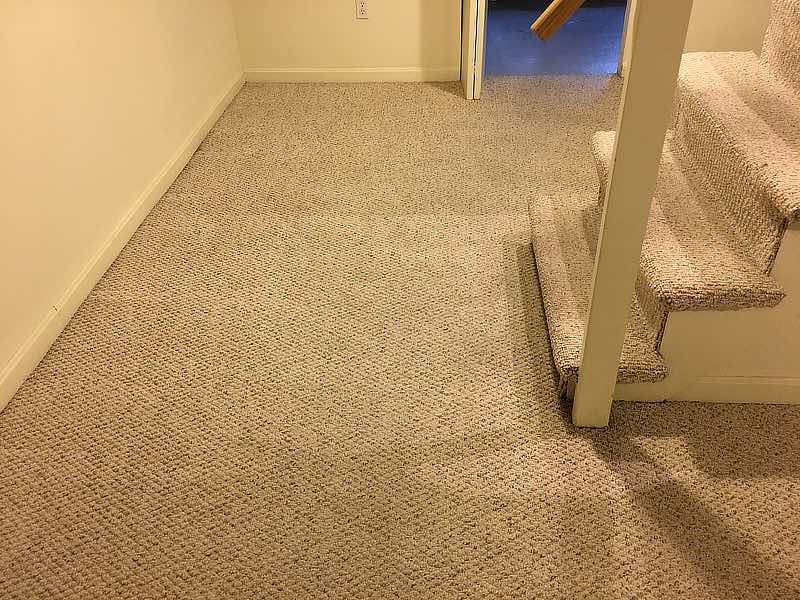 pet damage after