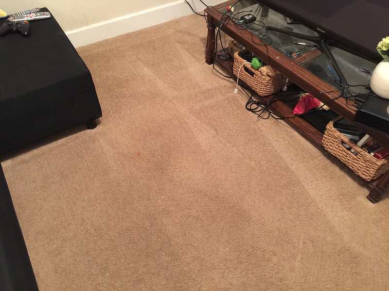 spots on basement carpet after